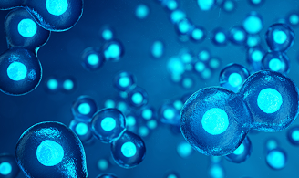 細胞の状態判定アプリケーション開発